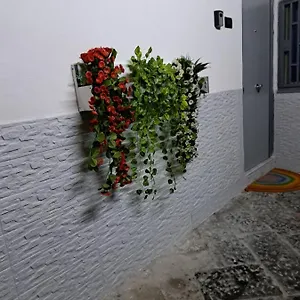  Hébergement de vacances Casa Storica